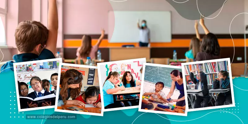 Básica Especial-Primaria