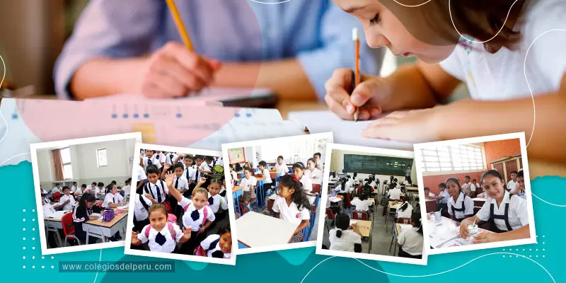 Primaria
