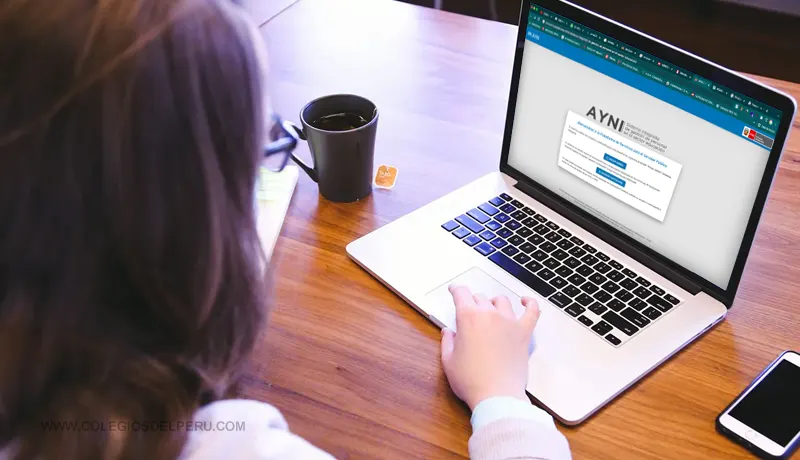 Conoce la plataforma AYNI (Sistema integrado de gestión de personal en el sector educación)